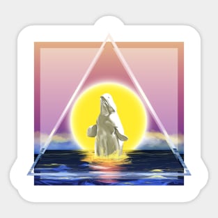 Beluga whale, Whale, Ocean, Sunset, Mammal, Sun Sticker